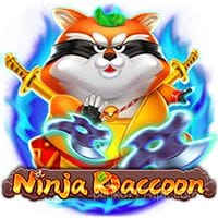 Ninja Raccoon